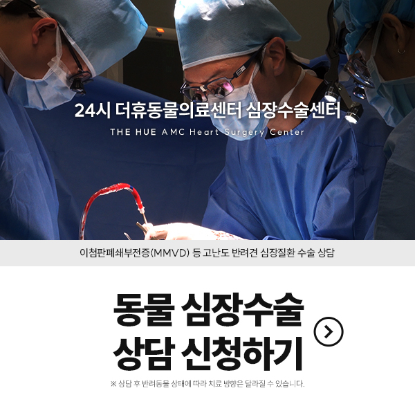 MMVD 이벤트 안내