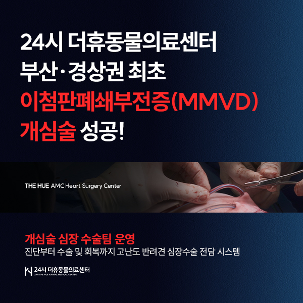 MMVD 이벤트 안내